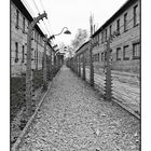 Auschwitz 2