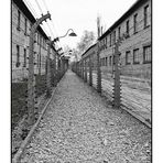 Auschwitz 2