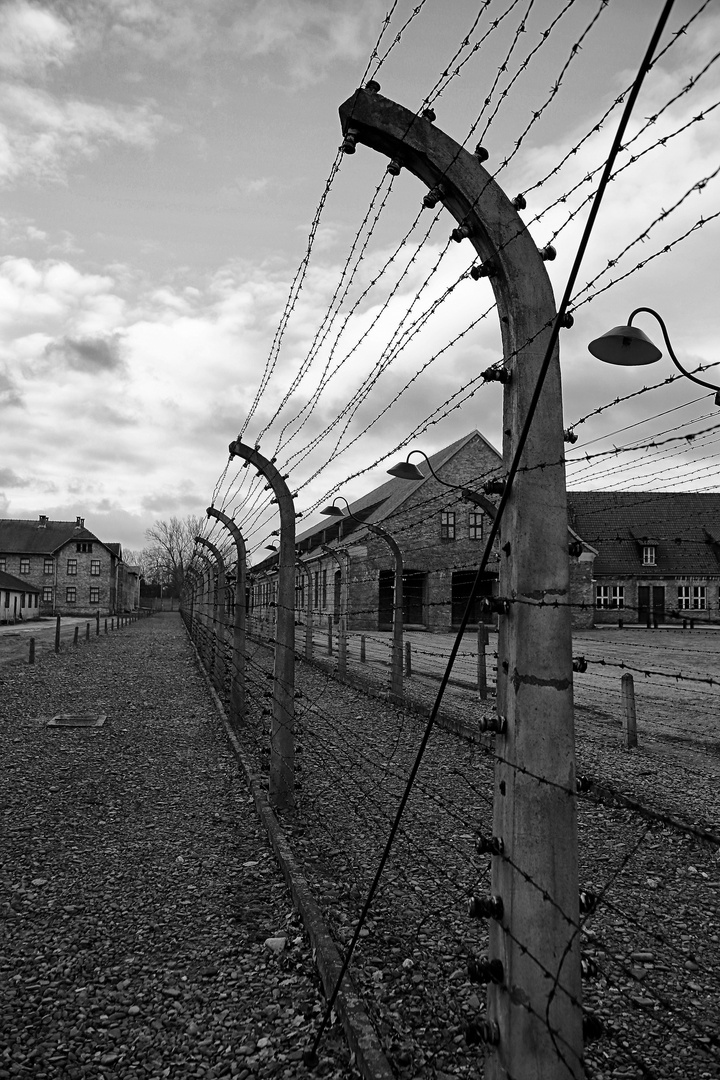 Auschwitz 2016...002