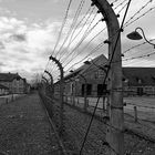 Auschwitz 2016...002