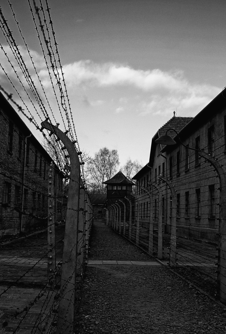 Auschwitz 2016...003