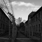 Auschwitz 2016...003