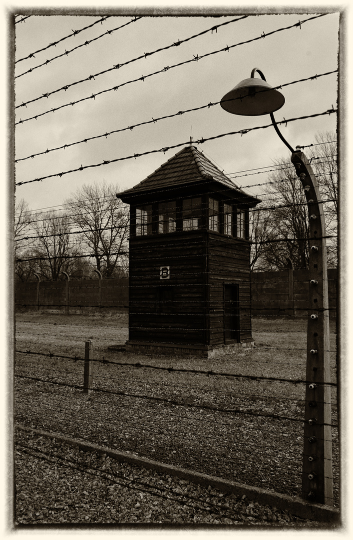 Auschwitz 2016...032