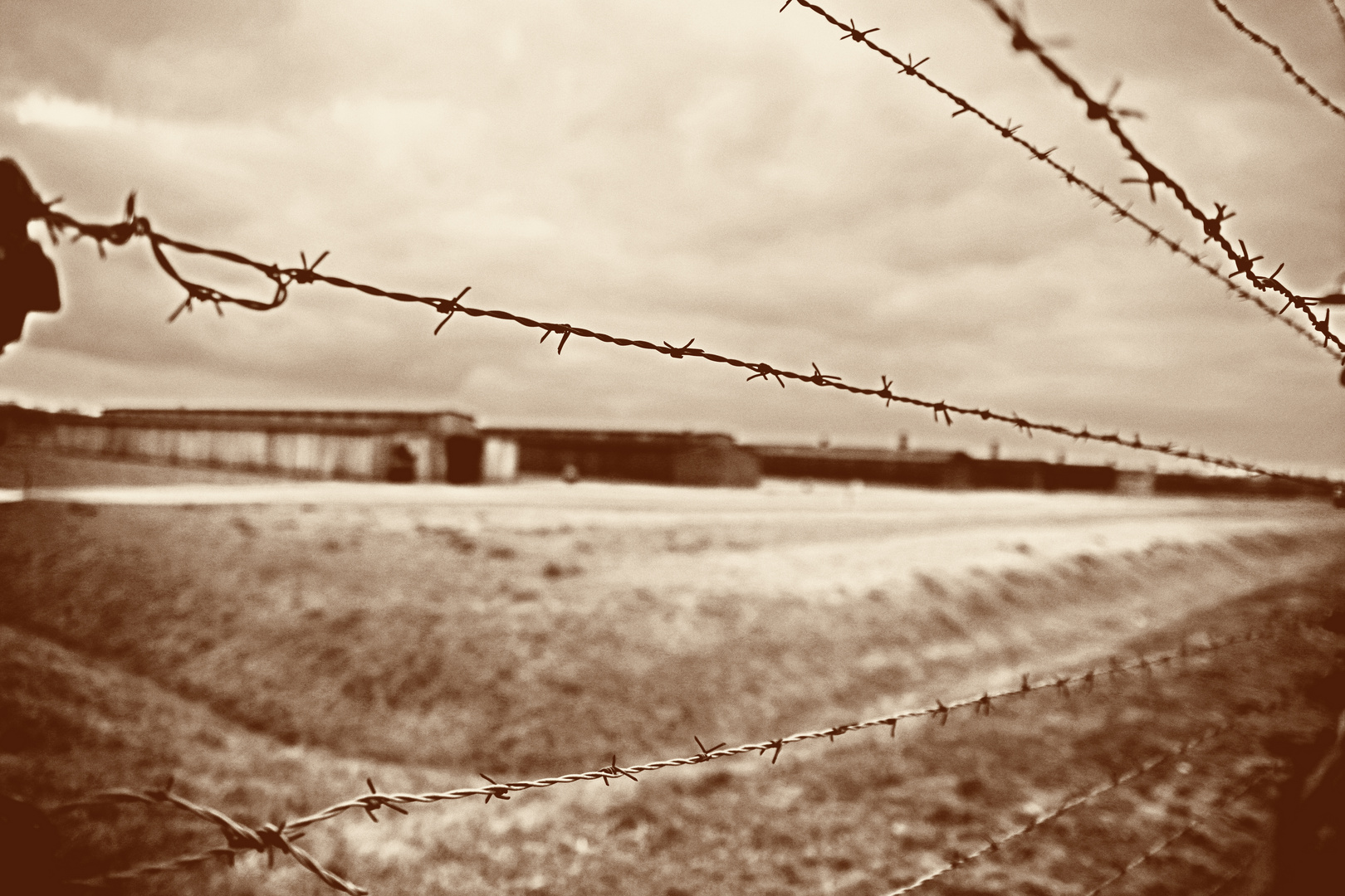 Auschwitz 2016...042