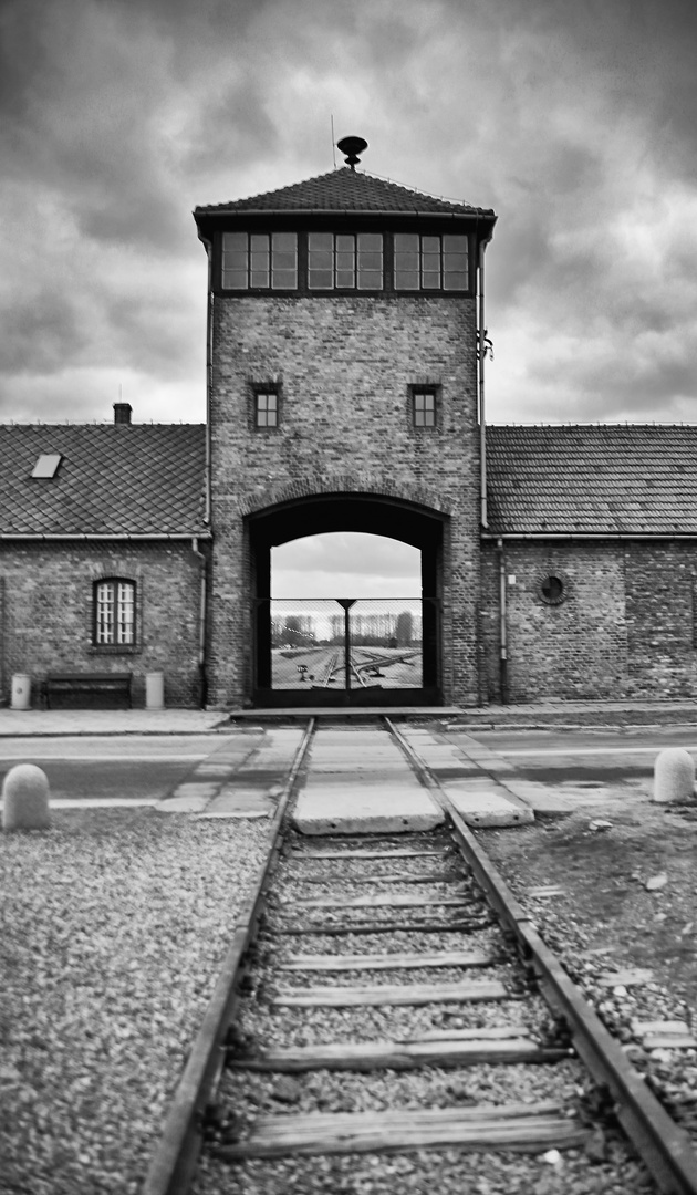 Auschwitz 2016...044