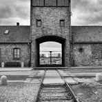 Auschwitz 2016...044