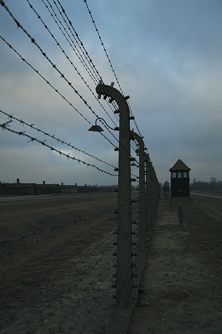 Auschwitz 2016...045