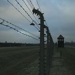 Auschwitz 2016...045