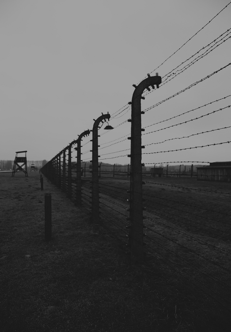 Auschwitz 2016...047