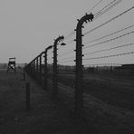 Auschwitz 2016...047