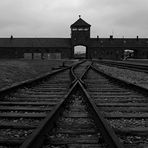 Auschwitz 2016...050