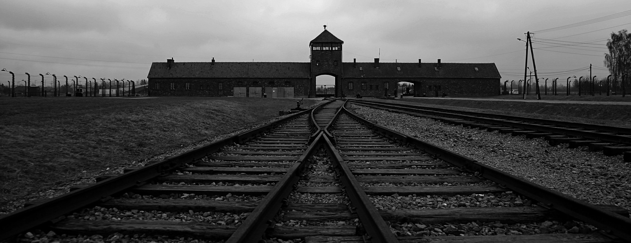 Auschwitz 2016...050