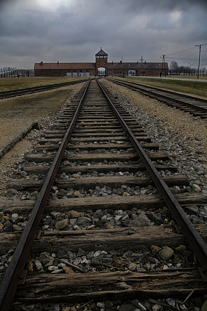 Auschwitz 2016...051