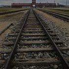 Auschwitz 2016...051