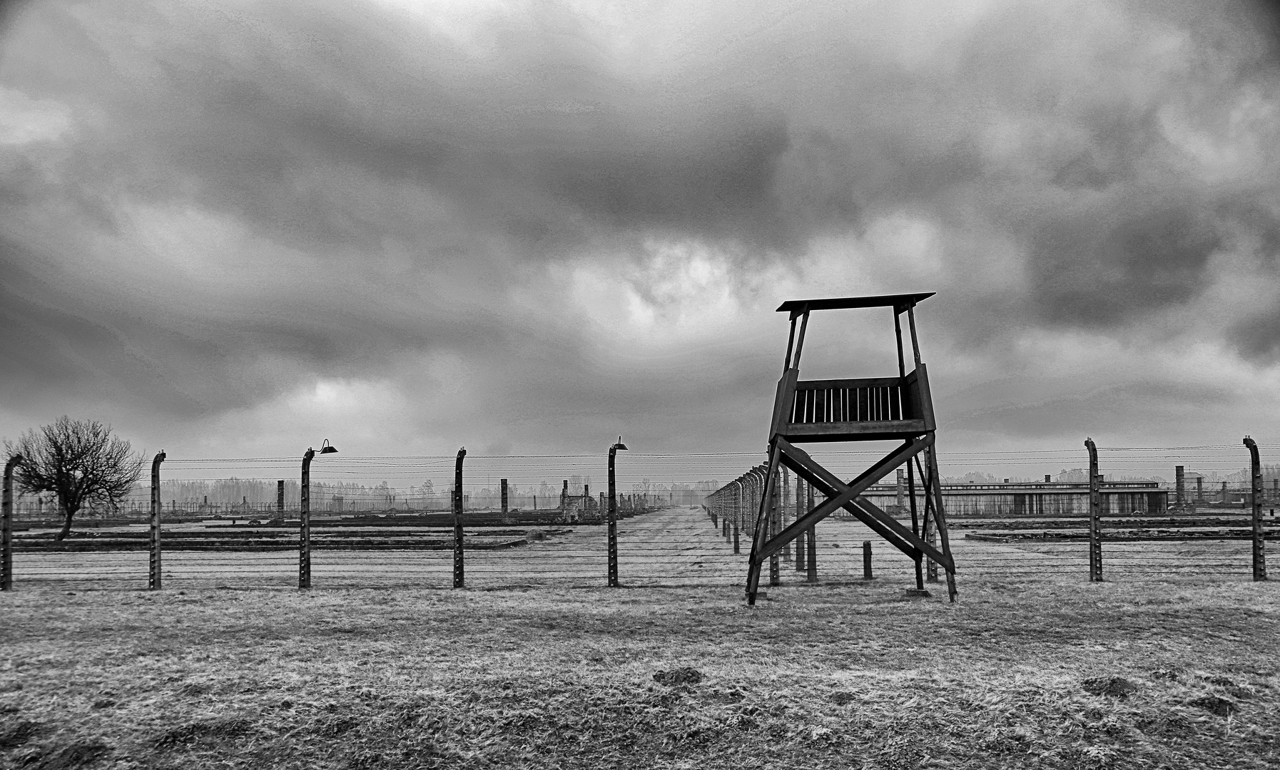 Auschwitz 2016...052
