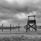 Auschwitz 2016...052