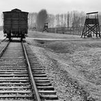 Auschwitz 2016...054