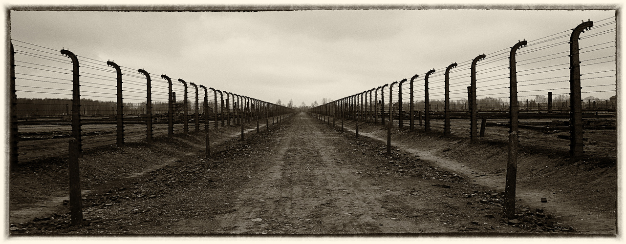 Auschwitz 2016...060
