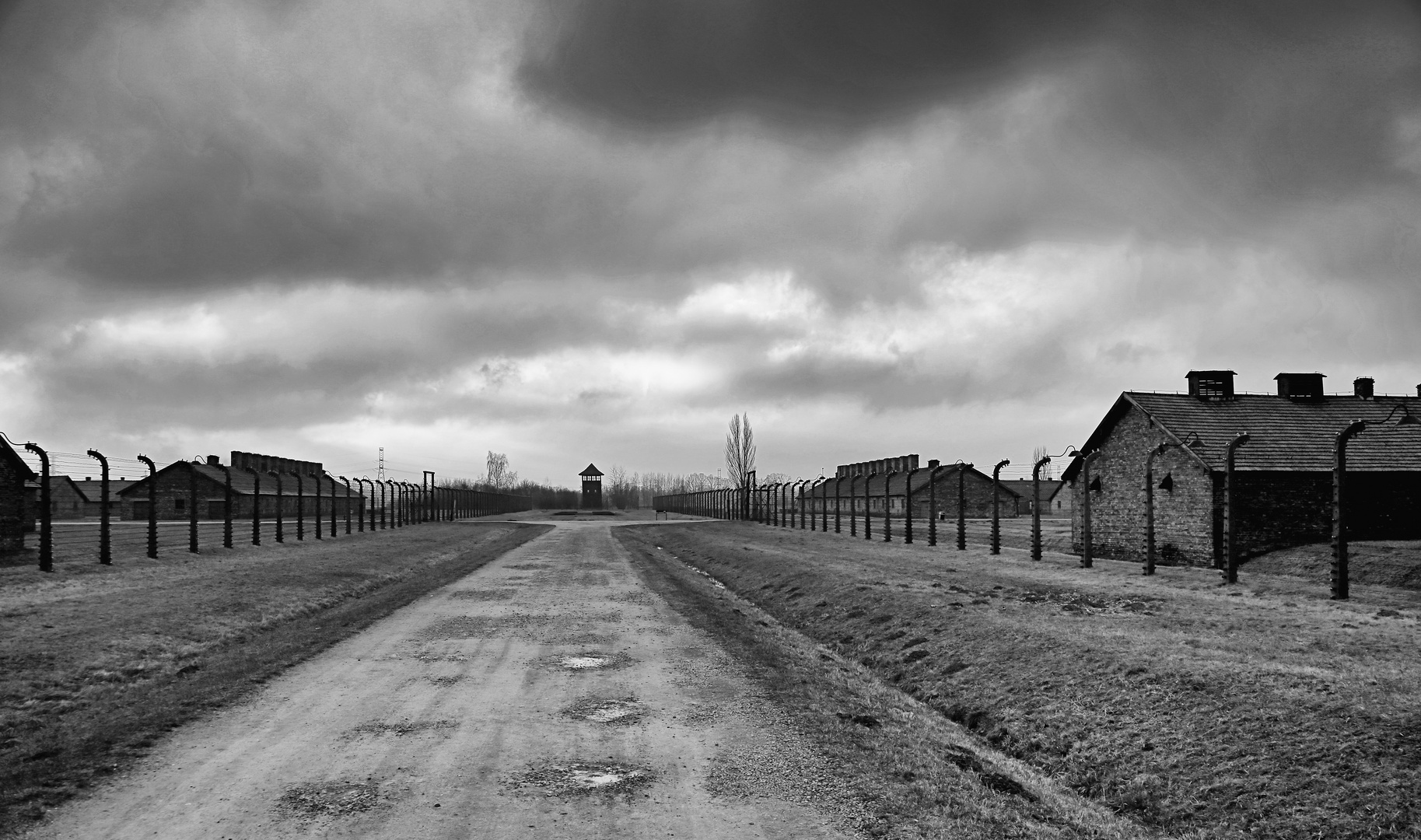 Auschwitz 2016...063