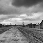 Auschwitz 2016...063