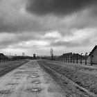 Auschwitz 2016...063