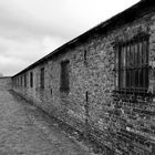 Auschwitz 2016...077