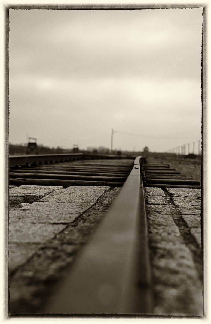 Auschwitz 2016...083