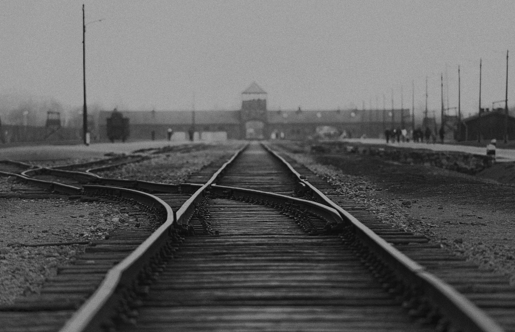 Auschwitz 2016...084