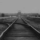 Auschwitz 2016...084