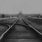 Auschwitz 2016...084