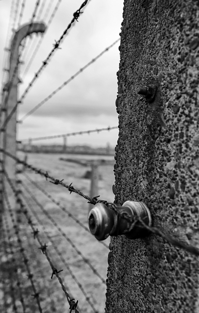 Auschwitz 2016...089