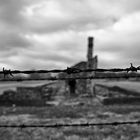 Auschwitz 2016....090