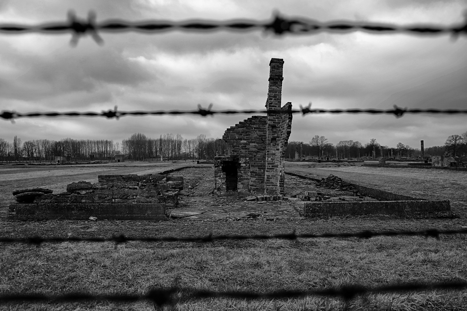 Auschwitz 2016...092