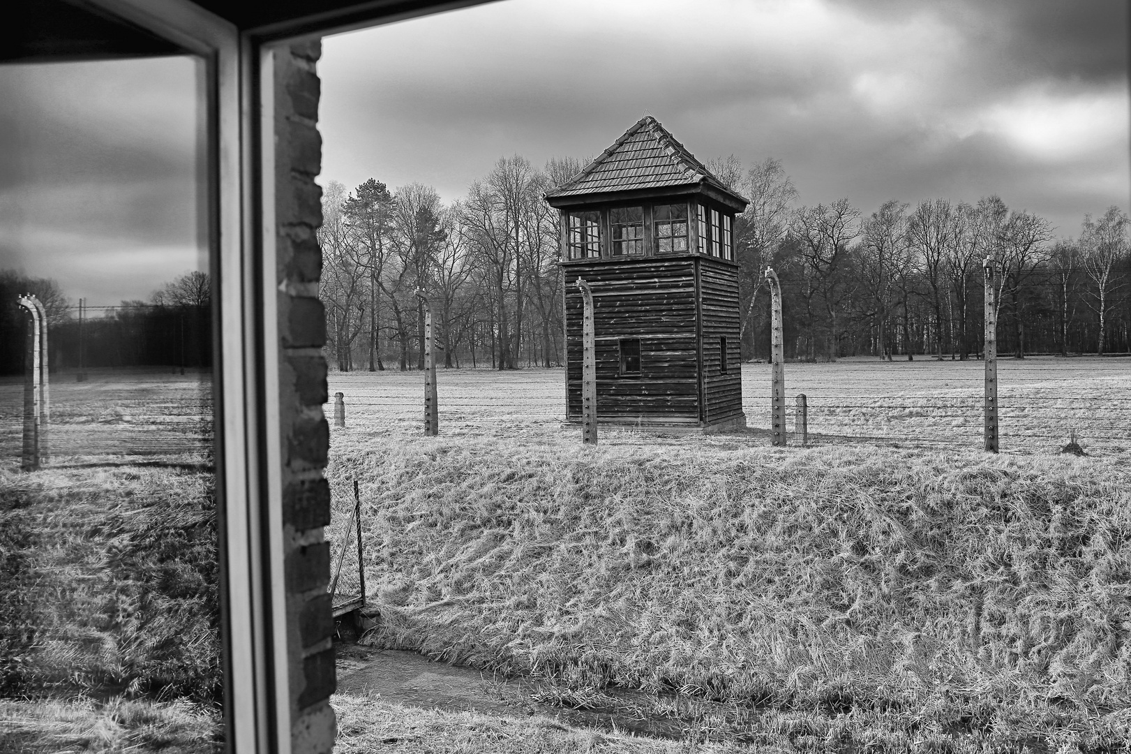 Auschwitz 2016...099