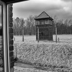 Auschwitz 2016...099