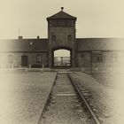 Auschwitz 2016...110