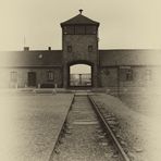 Auschwitz 2016...110