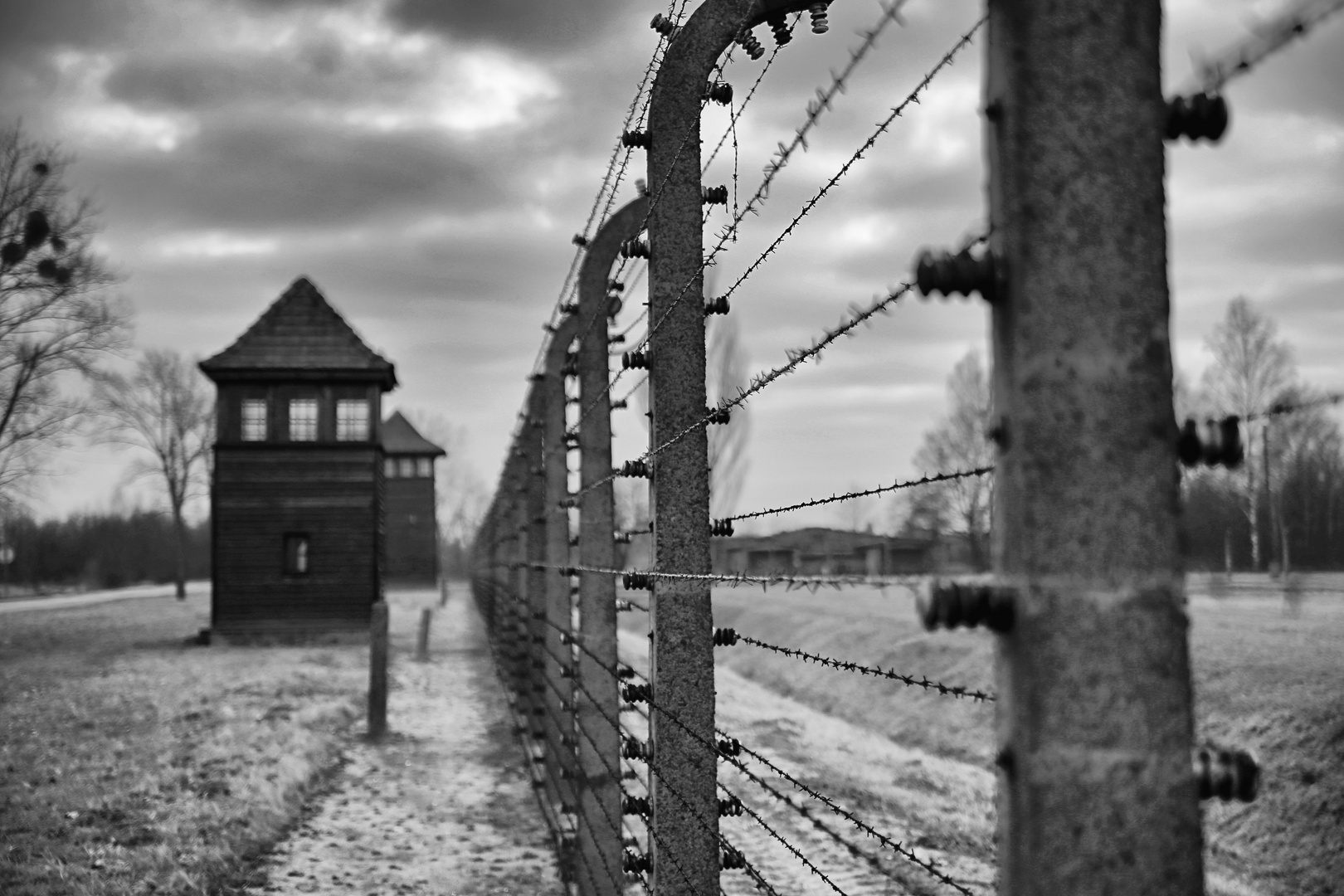 Auschwitz 2016...124