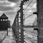 Auschwitz 2016...124