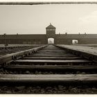 Auschwitz 2016...130