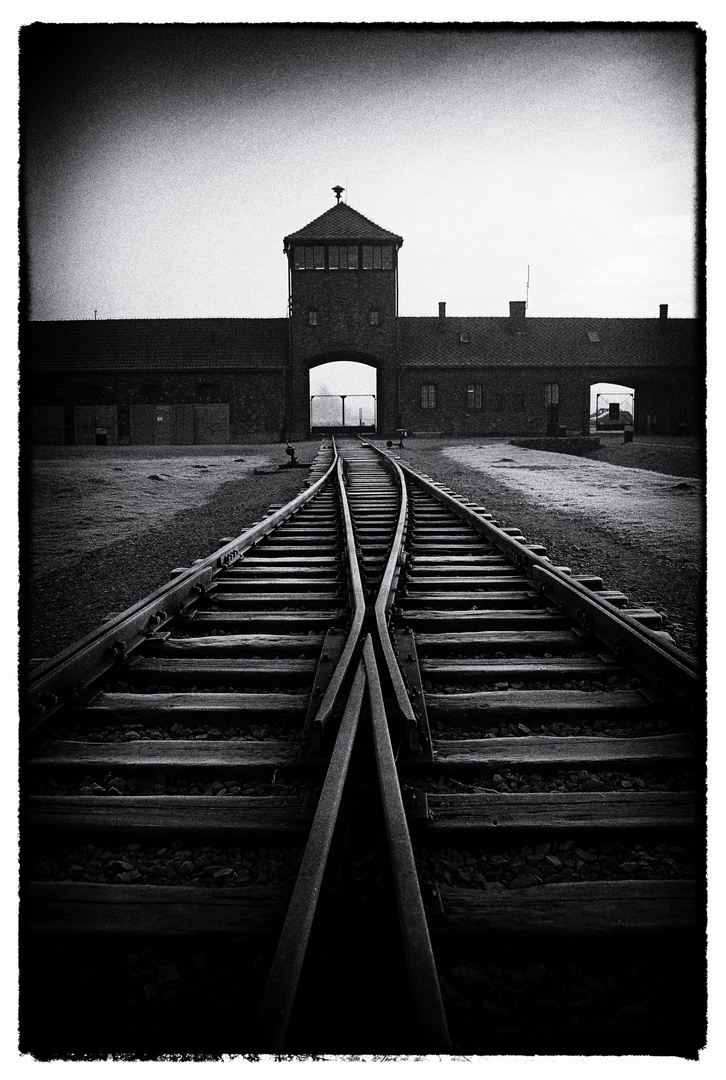 Auschwitz 2016...131