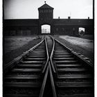 Auschwitz 2016...131
