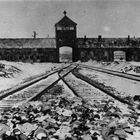 AUSCHWITZ... - 27. Januar 1945