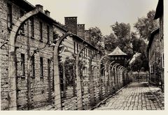 Auschwitz