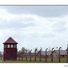 Auschwitz 3