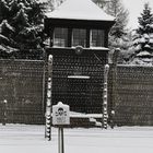 Auschwitz 3
