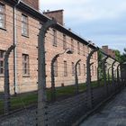 Auschwitz 4