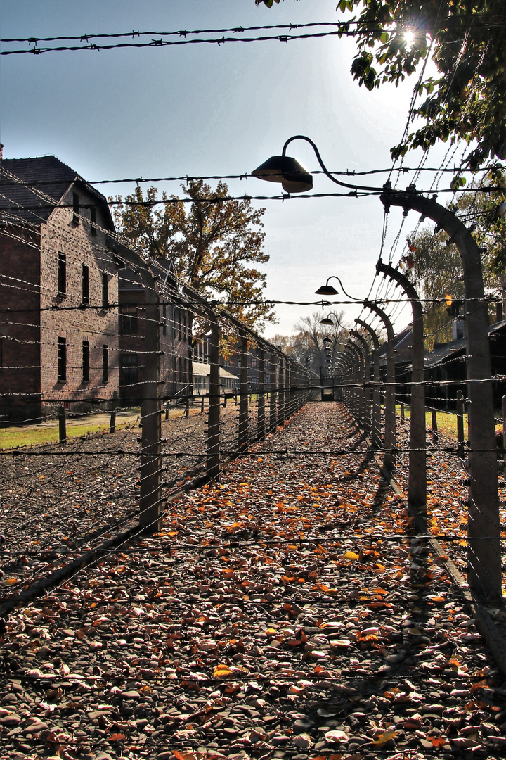 Auschwitz