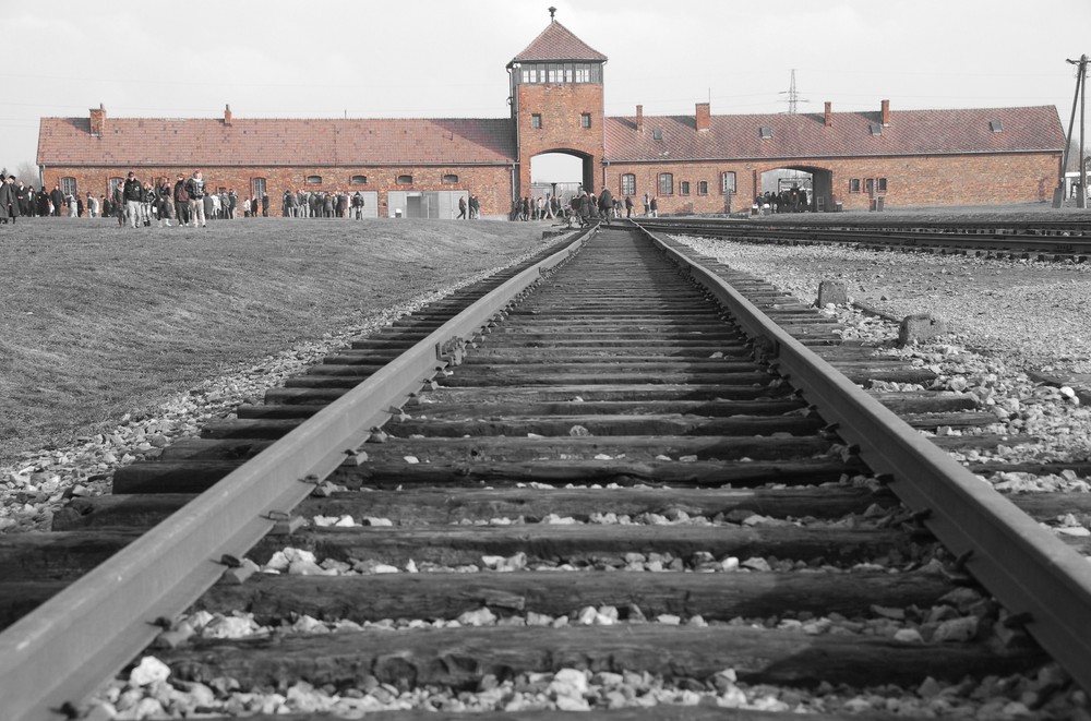 Auschwitz 6