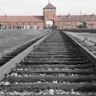 Auschwitz 6